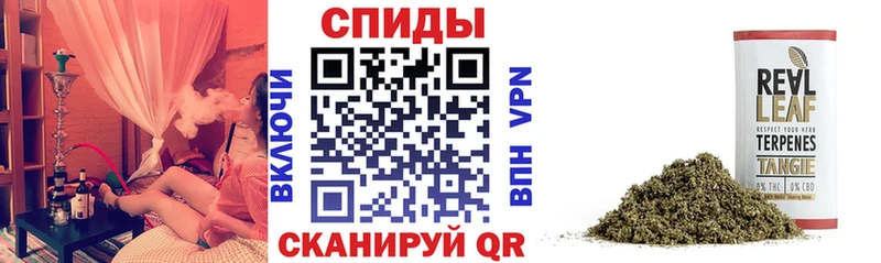 Бутират буратино  Одинцово 