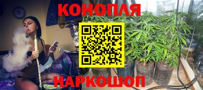 прущие грибы Долгопрудный