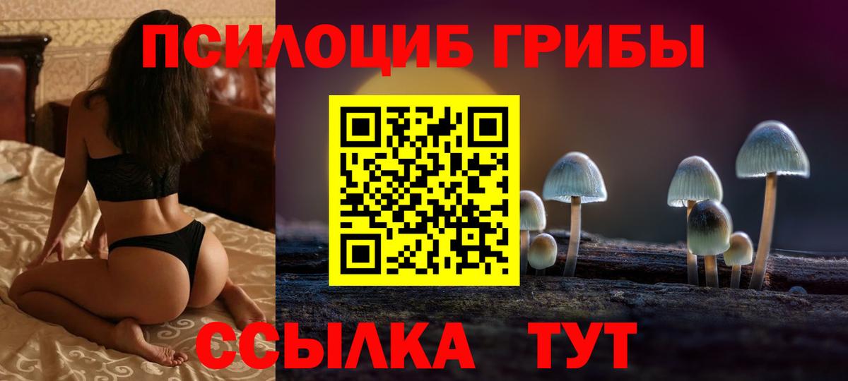 Одинцово  даркнет сайт  Вход с VPN  Псилоцибиновые грибы Psilocybine cubensis 